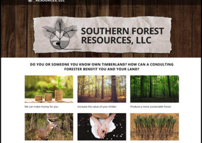Southern Forest Resources Website